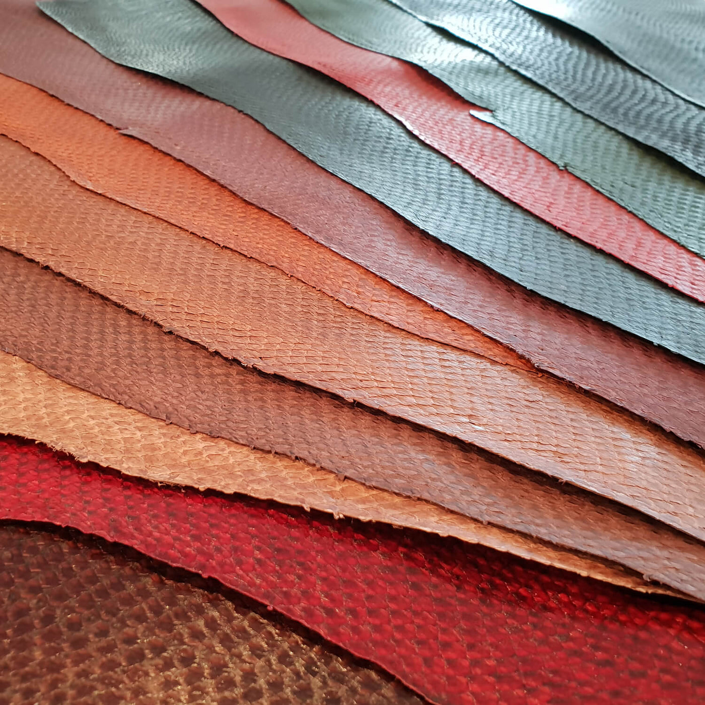 Social Responsibility