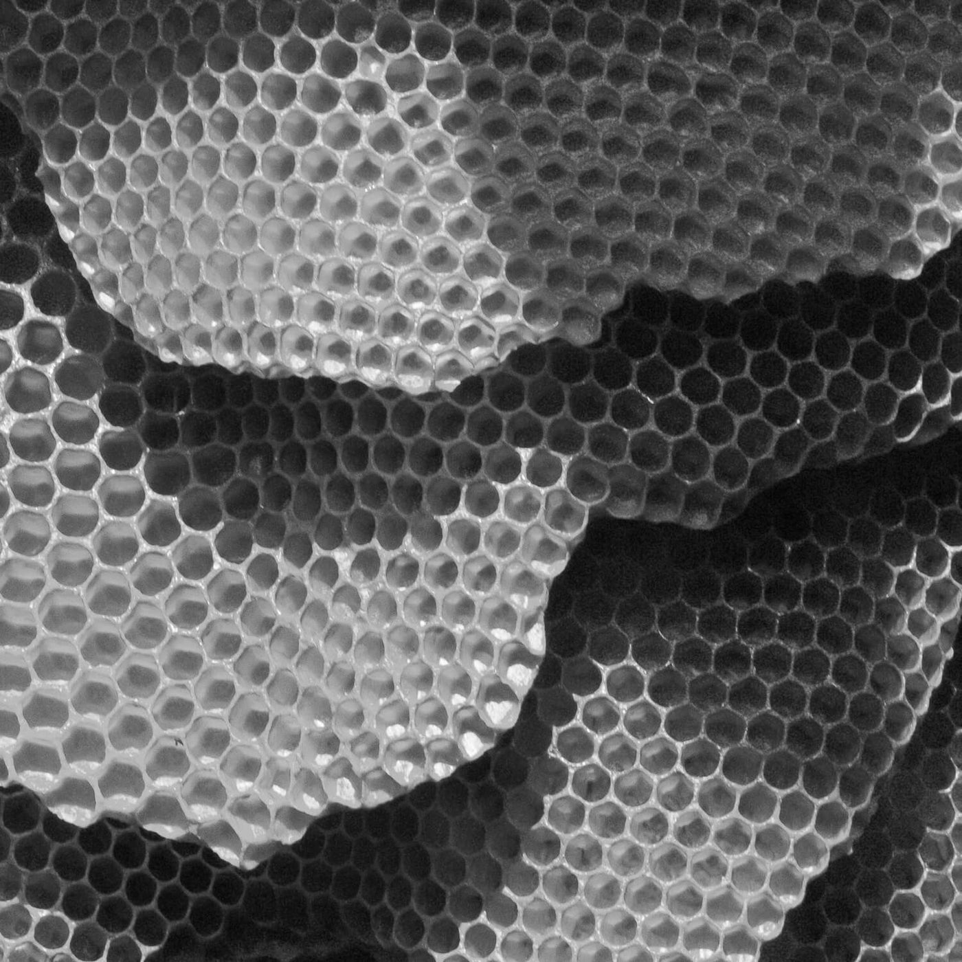 Ecology Centred Design